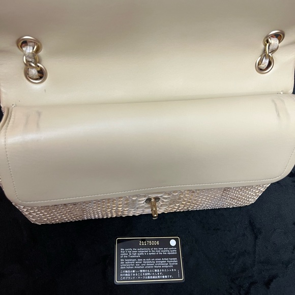 AUTHENTIC LIKE NEW LIMITED EDITION CHANEL CLASSIC IRIDESCENT PYTHON DOUBLE FLAP - Picture 8 of 12